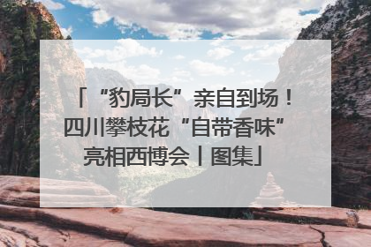 “豹局长”亲自到场！四川攀枝花“自带香味”亮相西博会丨图集