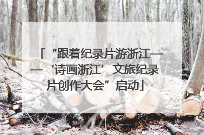 “跟着纪录片游浙江——‘诗画浙江’文旅纪录片创作大会”启动