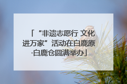 “非遗志愿行 文化进万家”活动在白鹿原·白鹿仓圆满举办