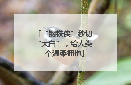 “钢铁侠”秒切“大白”，给人类一个温柔拥抱