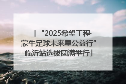 “2025希望工程·蒙牛足球未来星公益行”临沂站选拔圆满举行