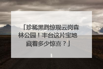 珍稀黑鹳惊现云岗森林公园！丰台这片宝地藏着多少惊喜？