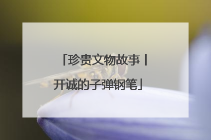 珍贵文物故事丨开诚的子弹钢笔