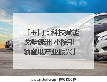 玉门：科技赋能戈壁绿洲 小院引领蜜瓜产业振兴