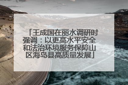 王成国在丽水调研时强调：以更高水平安全和法治环境服务保障山区海岛县高质量发展