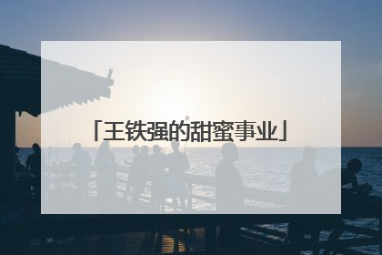 王铁强的甜蜜事业