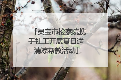 灵宝市检察院携手社工开展夏日送清凉帮教活动