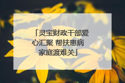 灵宝财政干部爱心汇聚 帮扶患病家庭渡难关