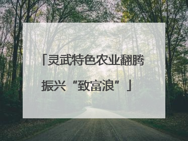 灵武特色农业翻腾振兴“致富浪”