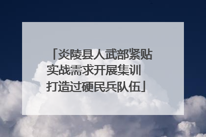 炎陵县人武部紧贴实战需求开展集训 打造过硬民兵队伍
