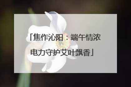 焦作沁阳：端午情浓 电力守护艾叶飘香