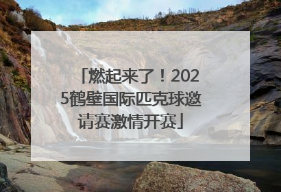燃起来了！2025鹤壁国际匹克球邀请赛激情开赛