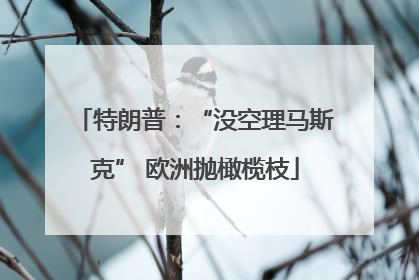 特朗普：“没空理马斯克” 欧洲抛橄榄枝