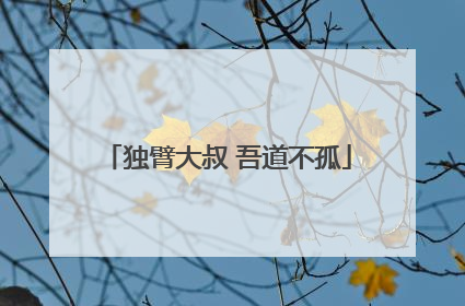 独臂大叔 吾道不孤