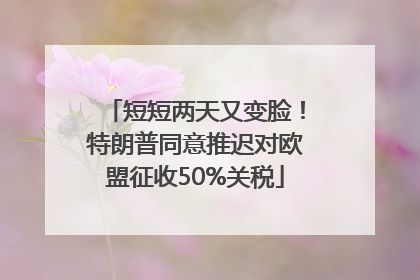 短短两天又变脸！特朗普同意推迟对欧盟征收50%关税