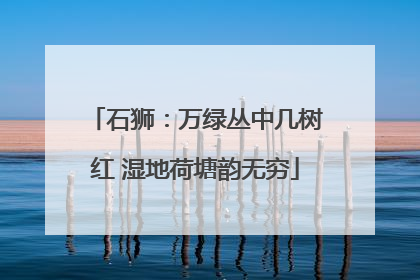 石狮：万绿丛中几树红 湿地荷塘韵无穷