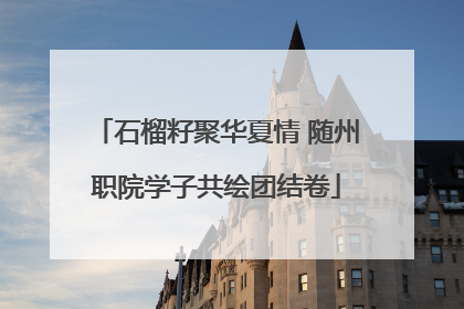 石榴籽聚华夏情 随州职院学子共绘团结卷