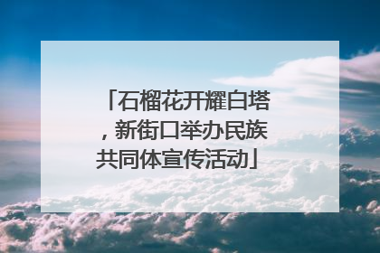 石榴花开耀白塔，新街口举办民族共同体宣传活动