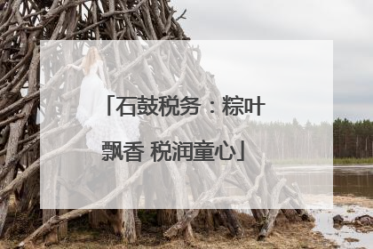 石鼓税务：粽叶飘香 税润童心
