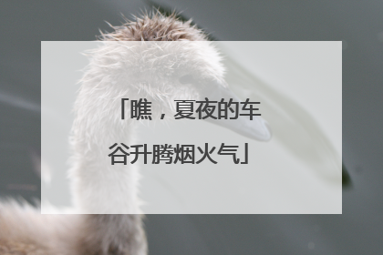 瞧，夏夜的车谷升腾烟火气