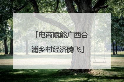 电商赋能广西合浦乡村经济腾飞