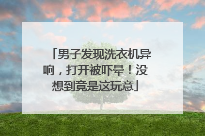 男子发现洗衣机异响，打开被吓晕！没想到竟是这玩意