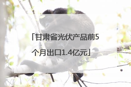 甘肃省光伏产品前5个月出口1.4亿元