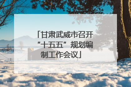 甘肃武威市召开“十五五”规划编制工作会议