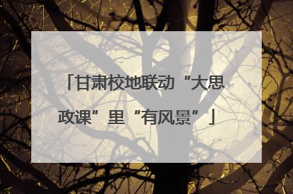 甘肃校地联动“大思政课”里“有风景”