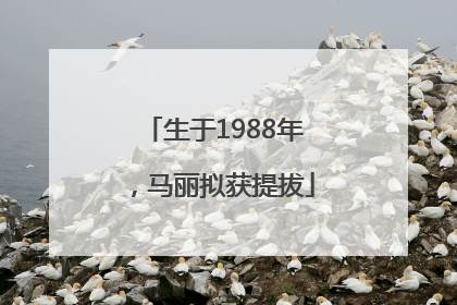 生于1988年，马丽拟获提拔