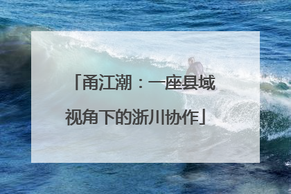 甬江潮：一座县域视角下的浙川协作
