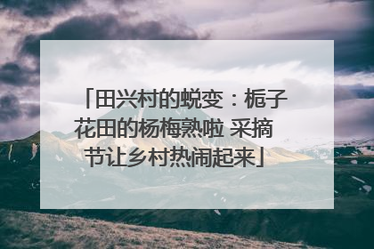 田兴村的蜕变：栀子花田的杨梅熟啦 采摘节让乡村热闹起来