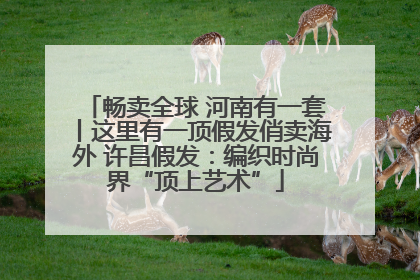 畅卖全球 河南有一套丨这里有一顶假发俏卖海外 许昌假发：编织时尚界“顶上艺术”