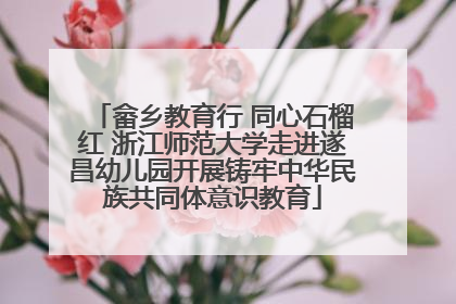 畲乡教育行 同心石榴红 浙江师范大学走进遂昌幼儿园开展铸牢中华民族共同体意识教育