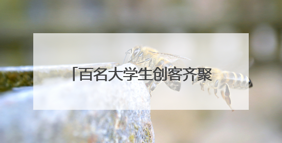 百名大学生创客齐聚望城开启创新之旅
