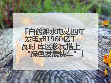 白鹤滩水电站四年发电超1960亿千瓦时 库区移民搭上“绿色发展快车”