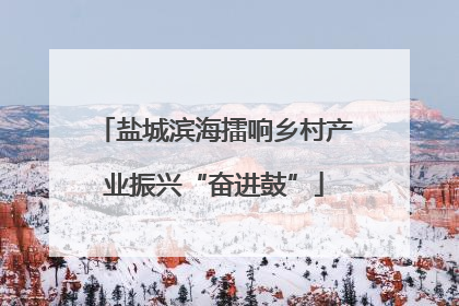 盐城滨海擂响乡村产业振兴“奋进鼓”
