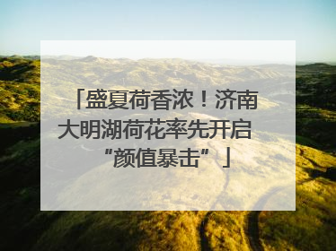 盛夏荷香浓！济南大明湖荷花率先开启“颜值暴击”