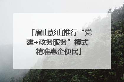 眉山彭山推行“党建+政务服务”模式 精准惠企便民