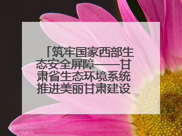 筑牢国家西部生态安全屏障——甘肃省生态环境系统推进美丽甘肃建设交出亮眼答卷