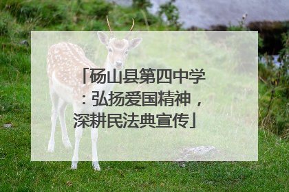 砀山县第四中学：弘扬爱国精神，深耕民法典宣传