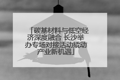 碳基材料与低空经济深度融合 长沙举办专场对接活动撬动产业新机遇