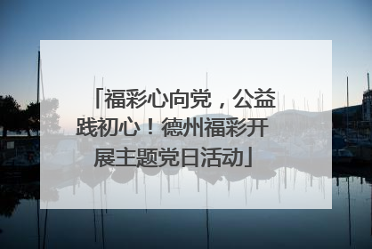 福彩心向党，公益践初心！德州福彩开展主题党日活动