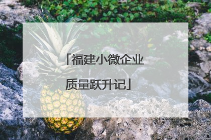 福建小微企业质量跃升记