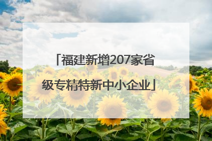 福建新增207家省级专精特新中小企业
