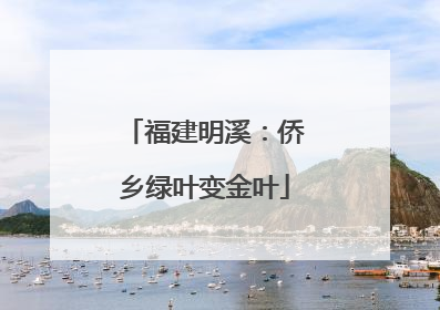福建明溪：侨乡绿叶变金叶