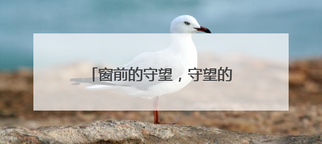 窗前的守望，守望的是旅途的温暖与安心