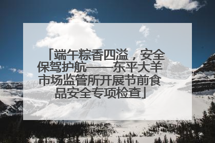 端午粽香四溢，安全保驾护航——东平大羊市场监管所开展节前食品安全专项检查