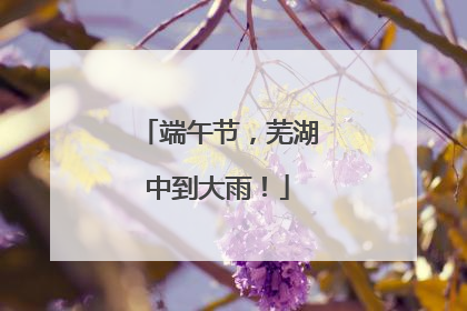 端午节，芜湖中到大雨！