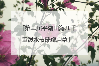 第二届平湖山海几千重泼水节璀璨启幕